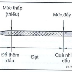 kiem-tra-dau-dong-co-va-nuoc-lam-mat-dung-cach